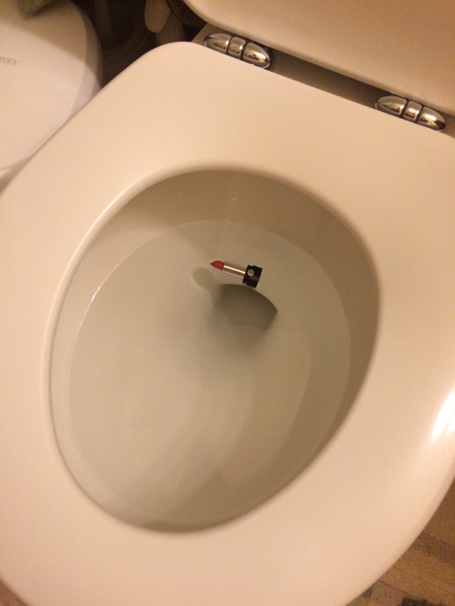 dropped in the toilet