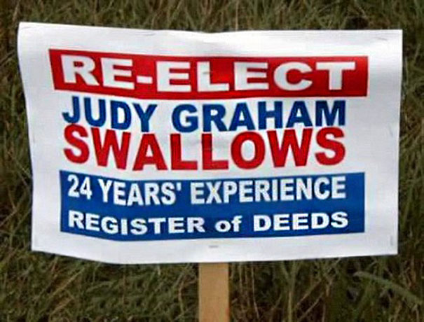 Judy Graham Swallows