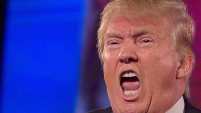 Fog-Horn-Trump