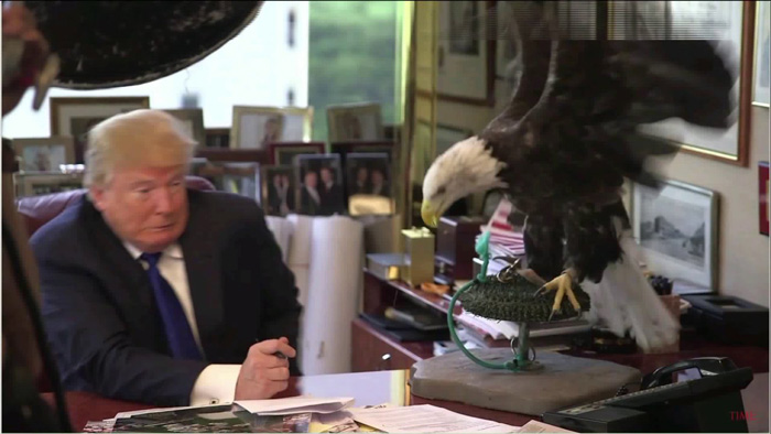 Scared-Of-Eagles-Trump
