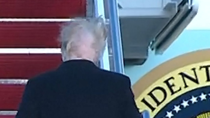 Trump-Bald