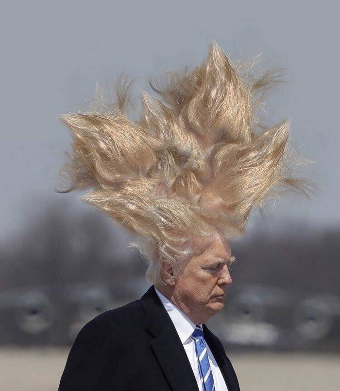 Trump-Hair-Hair-Hair