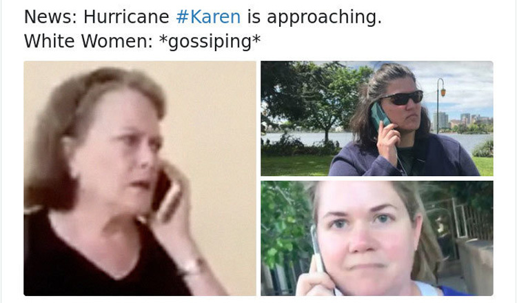 The Best Karen Memes On The Net