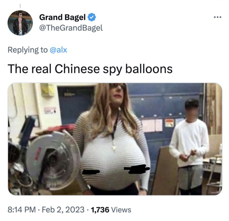 Chinese Spy Balloon Memes 26